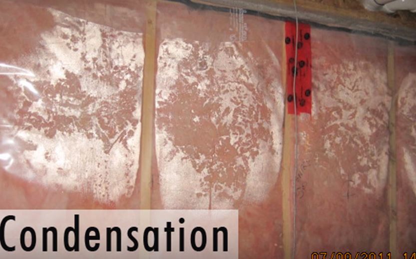 Nexcem Insulated Concrete Forms, Condensation In Basement Insulation